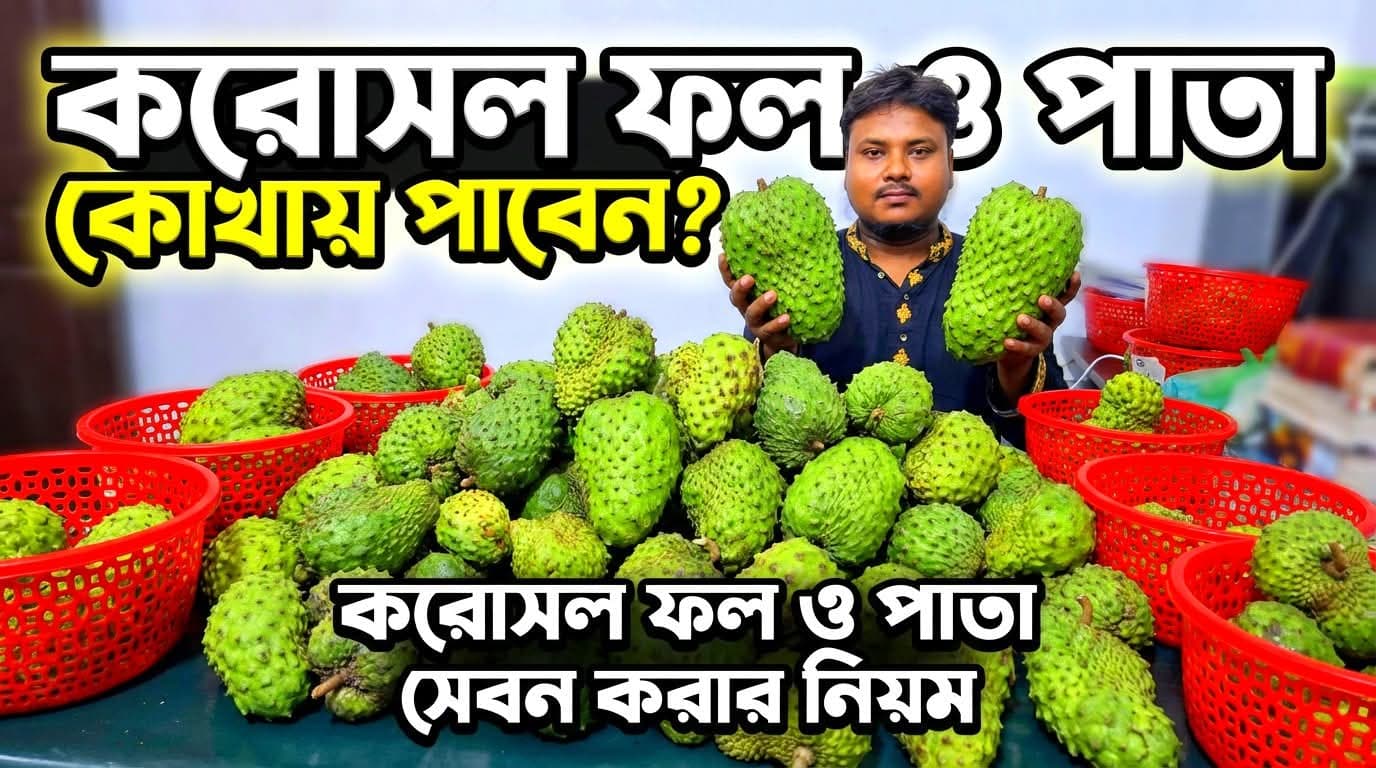 করোসল ফল কোথায় পাবেন?