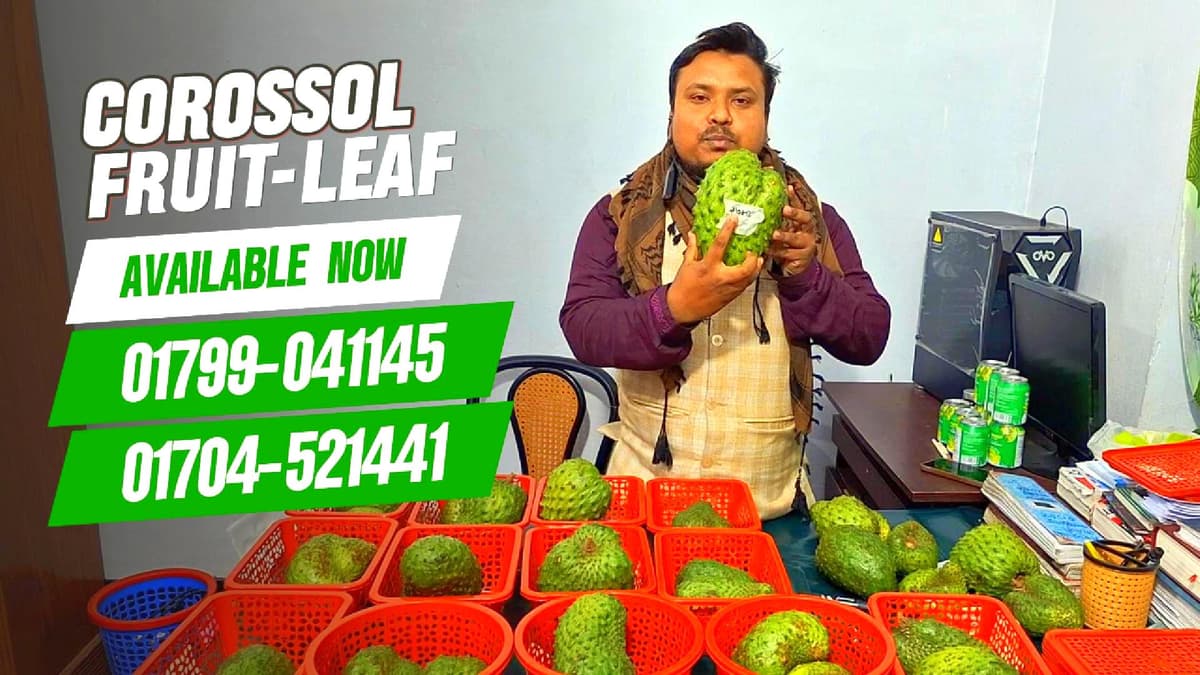 ১০০% করোসল ফল