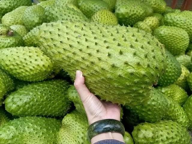 করোসল ফল (COROSSOL FRUIT)