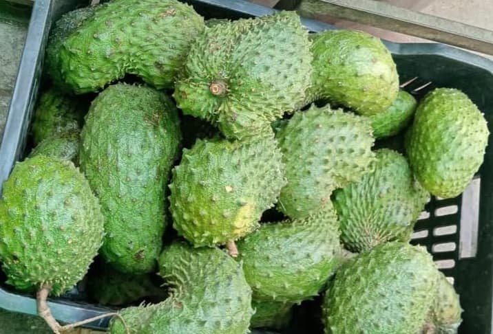 করোসল ফল: ক্যান্সার প্রতিরোধে প্রাকৃতিক উপায়
